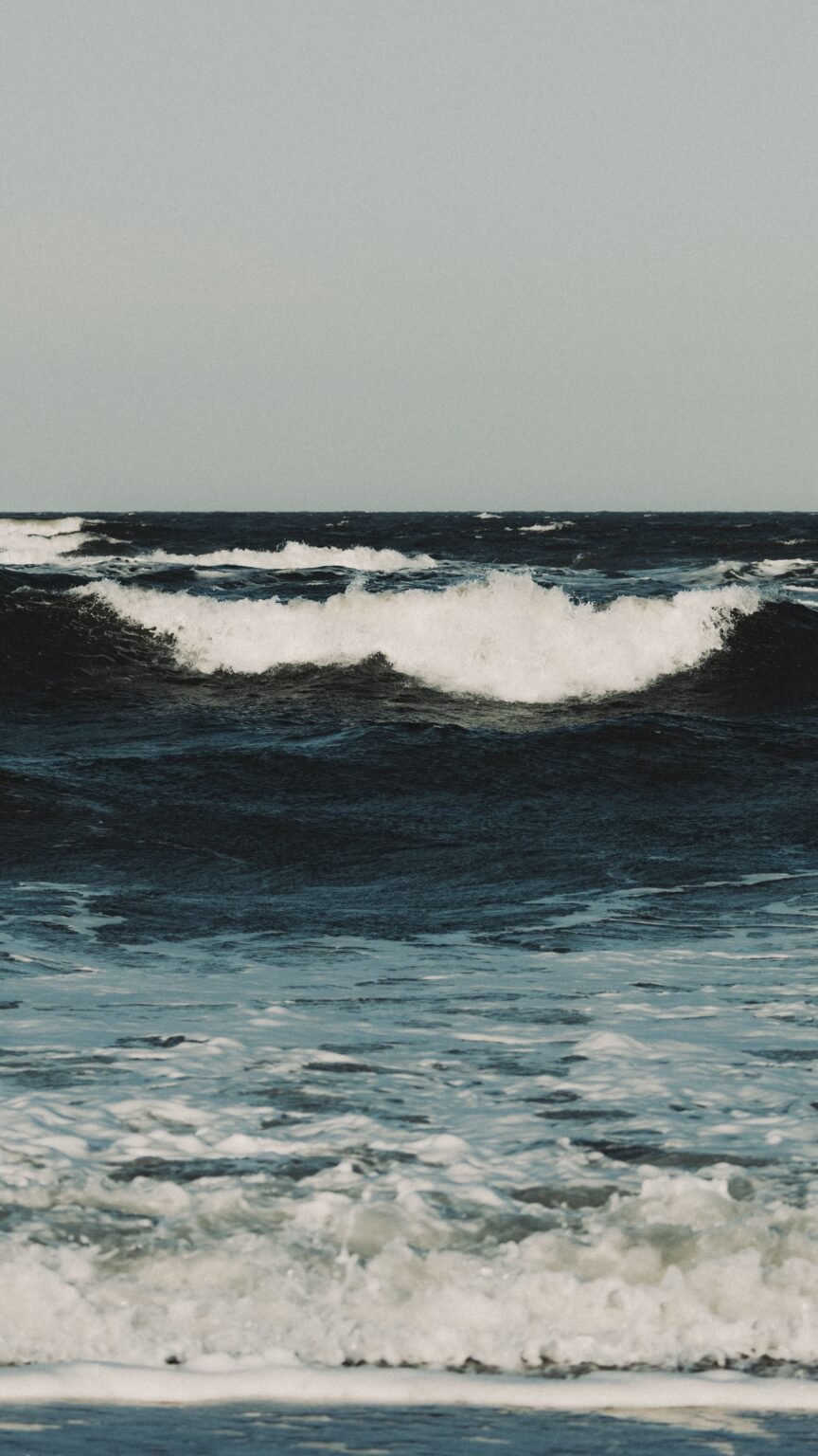 pexels davidohboy 36952051